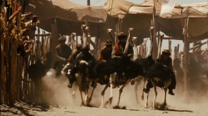 ...ostrich racing!